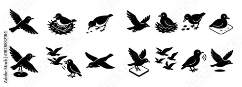 Bird Migration Icons