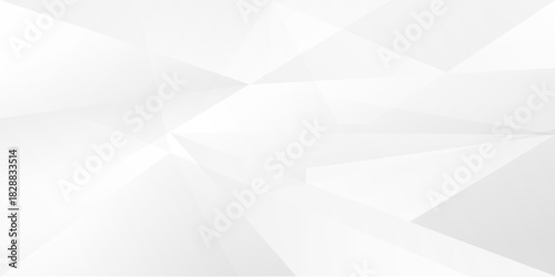 Abstract white and gray triangle vector background. texture white pattern Eps11