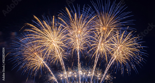 Fireworks in Night Sky. Dark Background with Colorful Salute.

