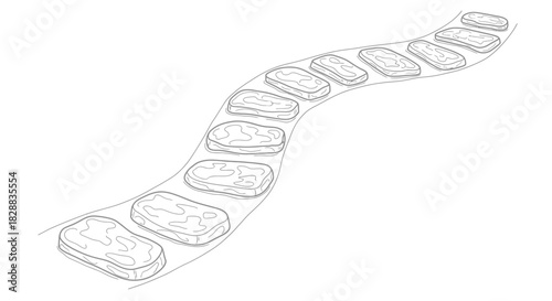 Steak pieces moving on a conveyor belt in a factory.