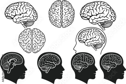 Vector Collection Showing Multiple Views, Including Sagittal and Coronal Sections in Silhouette Heads, Representing Intelligence and Health.