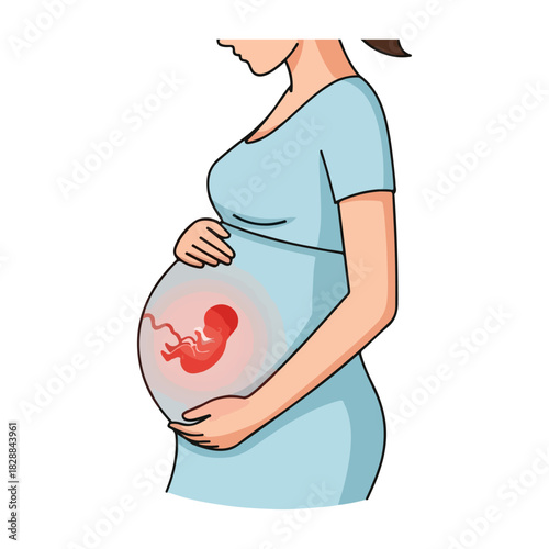 Illustration of a pregnant woman holding her belly with fetus inside.