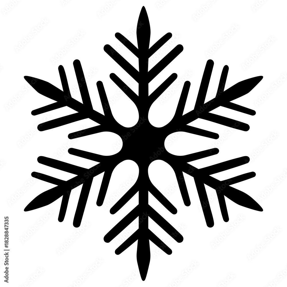 Fototapeta premium Snowflake