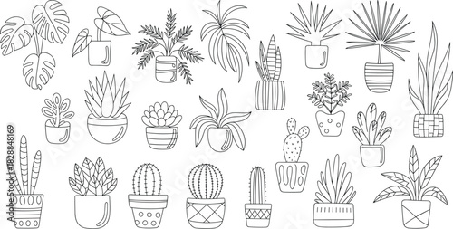 Potted plants, line drawing, black and white, botanical sketch, cactus art, succulent illustration, indoor decor, minimal style, plant collection, houseplant design
