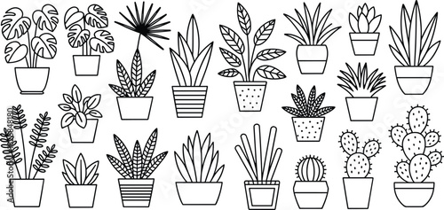 Potted plants, line drawing, black and white, houseplant sketch, botanical illustration, succulent art, cactus design, minimal decor, indoor greenery, plant collection