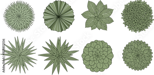 Set of green plant top view vectors, tree and bush collection for architectural landscape garden design plans, isolated on white.