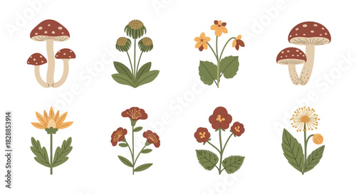 Collection of Botanical Illustrations Featuring Mushrooms and Wildflowers.