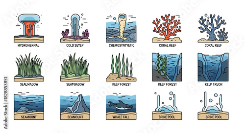 Collection of Marine Ecosystems and Habitats Illustrated Icons.