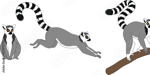 Detailed Vector Illustration of Cotton Plant Stems with Fluffy White Bolls, Ideal for Themes Related to Textiles, Fabric, Natural Materials, Organic Farming, Softness, and Sustainable Clothing Industr