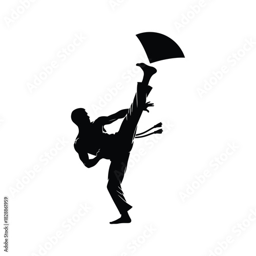 Silhouette of a capoeira practitioner performing a high kick with a fan in the air against a white background