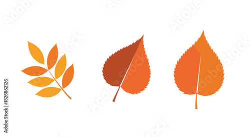 Stylized illustration of three distinct autumn leaves in warm orange and yellow hues, perfect for fall season designs.
