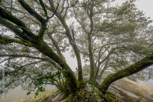 On the way to Bolumini cave from Mariola campsite in Alfafara, Alicante, Spain.