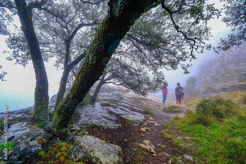 On the way to Bolumini cave from Mariola campsite in Alfafara, Alicante, Spain.
