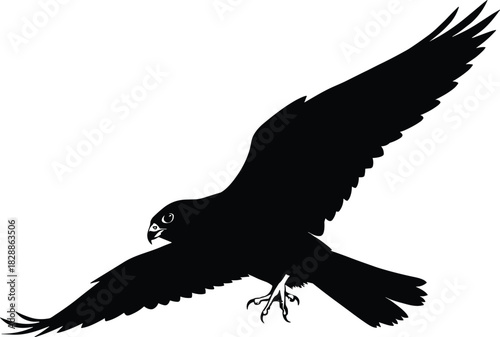Silhouette of a bird of prey in flight with extended wings and curled talons for wildlife and design themes