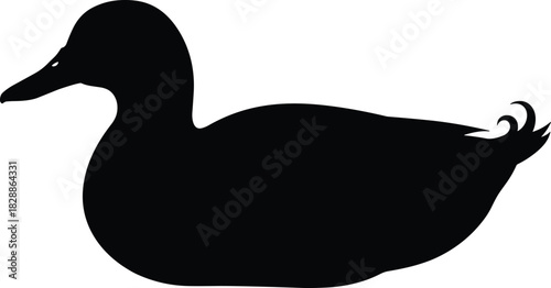 Silhouette of a duck in profile view with rounded body and curled tail feathers for bird and design themes