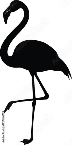 Silhouette of a flamingo standing on one leg with curved neck and visible beak for bird and design themes