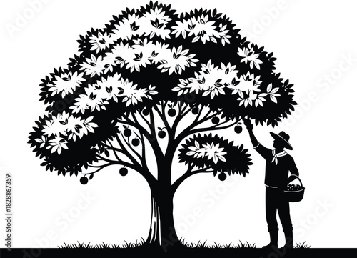 Farmer silhouette harvesting fruit from a large apple tree, standing on a grassy field and holding a basket, black vector illustration.