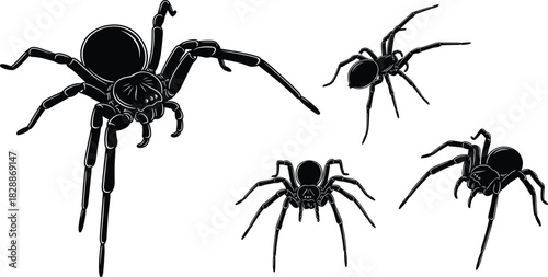Black silhouette of four menacing spiders, including a large tarantula, set in different poses, suitable for Halloween, horror, fear, nature, and wildlife vector illustration content against a white 