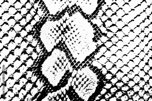 Intricate black and white pattern resembling reptile skin a detailed texture