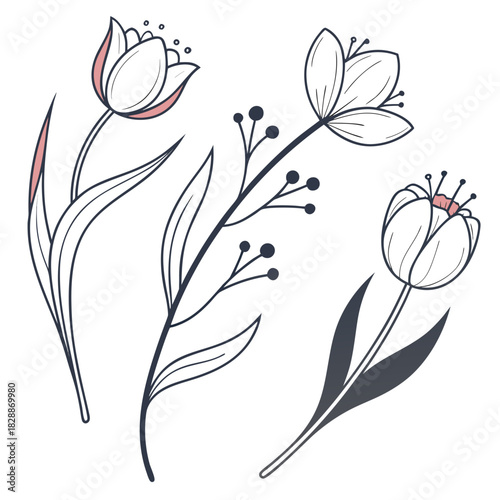 Hand drawn floral elements for invitation cards