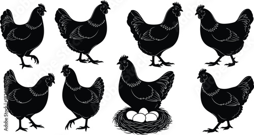 Chicken hens vector silhouette set with nest and eggs, farm poultry animals collection, domestic fowl birds black icon, rural agriculture, meat and egg production symbol graphic.