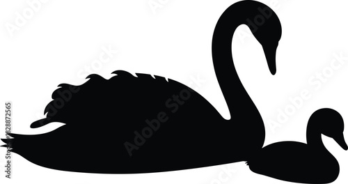 Mother Swan and Cygnet Silhouette, Aquatic Birds Swimming Together, Family Bond, Nature, and Waterfowl Vector Illustration on White