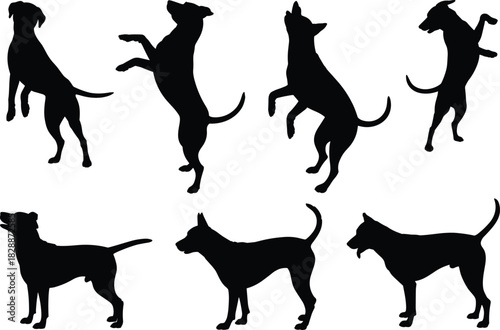 Set of dog silhouette in various dynamic poses, standing on hind legs and walking, representing pet training, loyalty, obedience, animal behavior, dog agility, and veterinary concepts