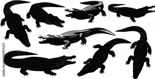 Set of black crocodile silhouettes, isolated on white background, vector illustration collection of dangerous reptile predators for wildlife logo design, tattoo art, and graphics.
