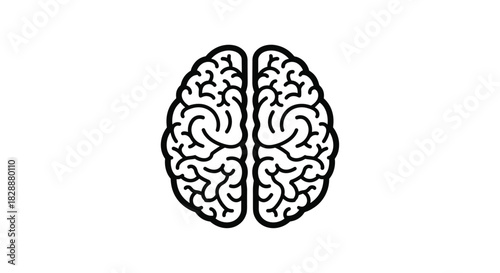 Minimalist black and white top-down illustration of a human brain, showing its two hemispheres and intricate folds on a clean background.