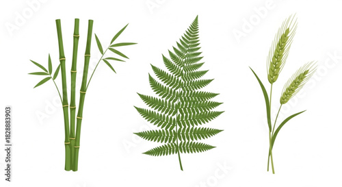 Botanical bliss featuring vibrant green bamboo stalks, a delicate fern, and golden wheat sprigs perfect for nature-inspired designs and eco-friendly projects