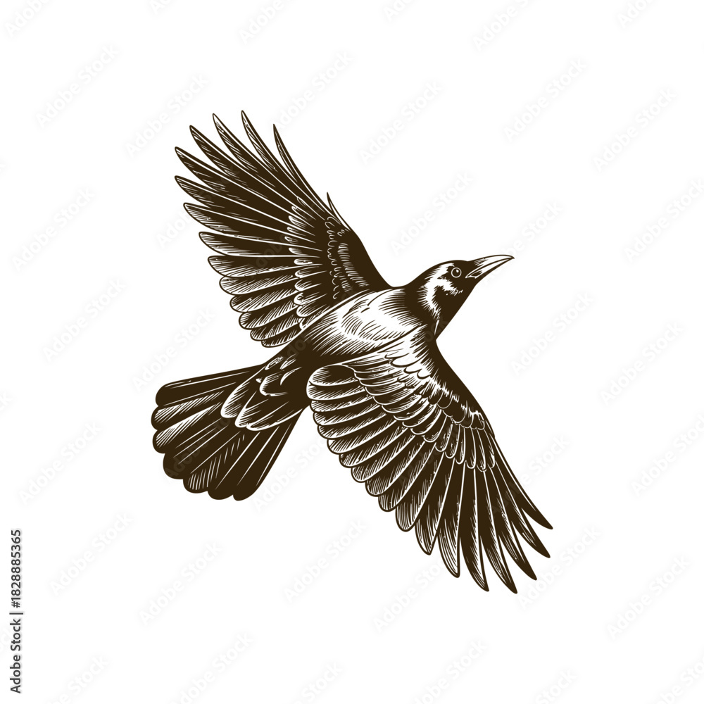 Fototapeta premium Vintage engraving woodcut crow vector illustration art design