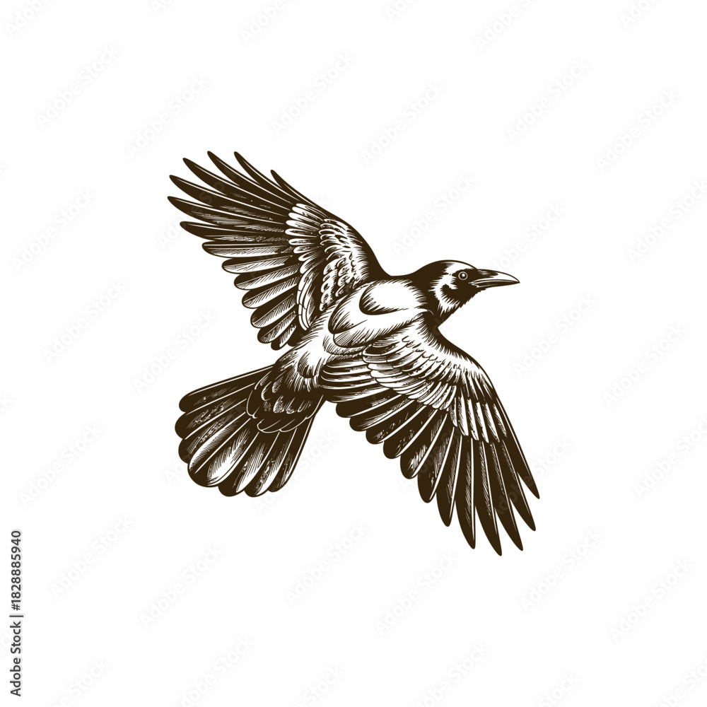 Naklejka premium Vintage engraving woodcut crow vector illustration art design