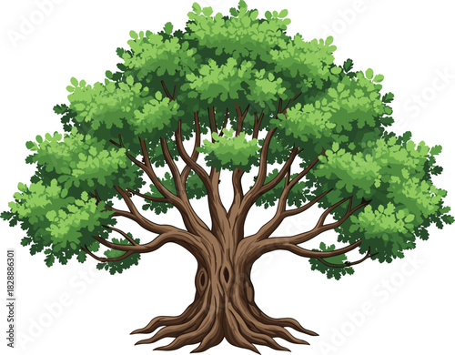 Magnificent old deciduous tree with wide spreading branches, thick trunk, and deep roots, full color vector illustration symbolizing nature, life, and growth.