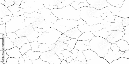 Black and white texture of cracked and abstract grunge texture effect old concrete faded wall dry surface patterns background.
