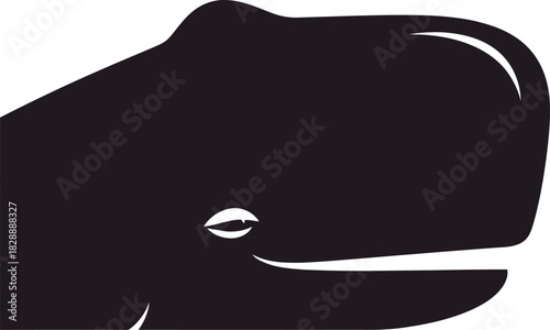 whale vector illustration