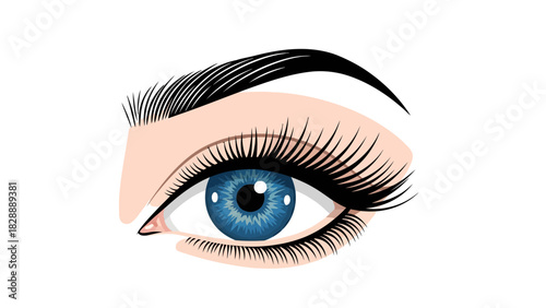 A blue eye with thick black lashes and arched eyebrows