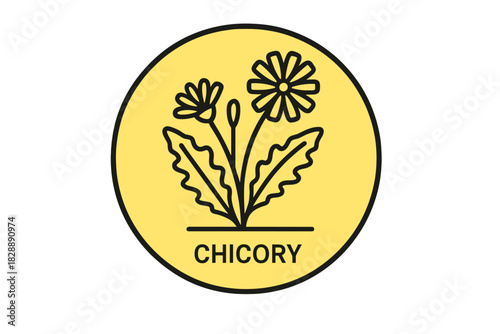 Minimalist chicory plant icon with flowers and leaves enclosed in a yellow circle badge