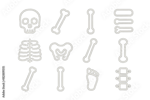 Outline icons of human skeletal system parts: skull, ribs, pelvis, bones