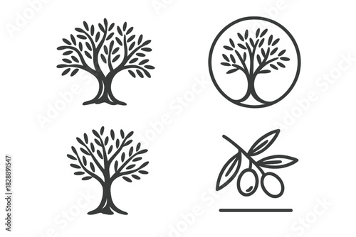 Simple black and white olive tree and olive branch symbols for branding design