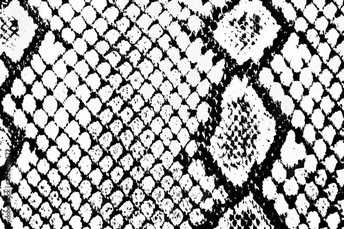 A striking close up view of a black and white snakeskin pattern texture