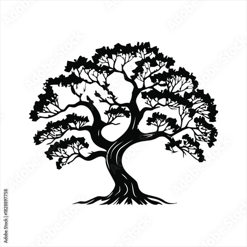 Stylized illustration of a mature tree with detailed foliage and roots