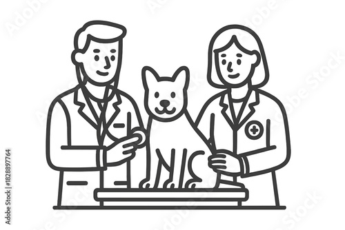 Male and female veterinarians performing a routine checkup on a small dog