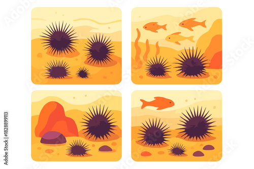 Sea urchins and tropical fish swimming over the warm sandy ocean floor