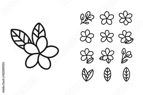 Tropical flowers and botanical leaf shapes line art icon set