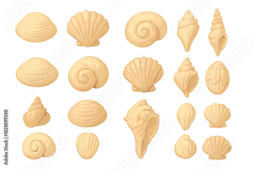 Assortment of beige and peach seashells and conch shells isolated on white