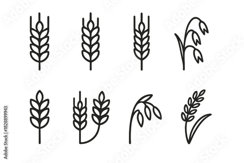 Simple outline symbols of wheat, rye, barley, rice, and oat grains for food and agriculture