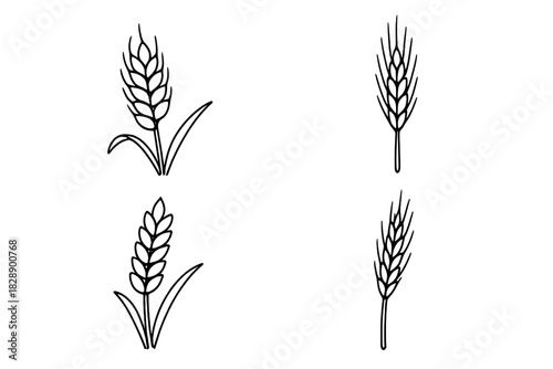Set of four hand-drawn style wheat ears and grain icons representing agriculture and harvest