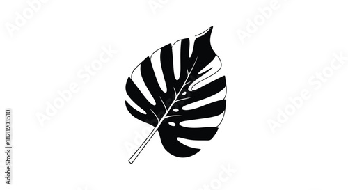 Monstera leaf A black and white illustration of a tropical plant with unique patterns for design projects and botanical themes