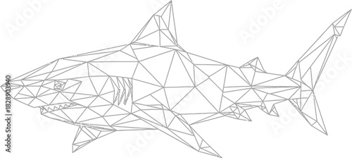 Geometric shark illustration with a modern low poly design on a white background