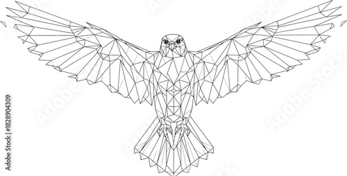 Geometric falcon with outstretched wings in a modern line art illustration